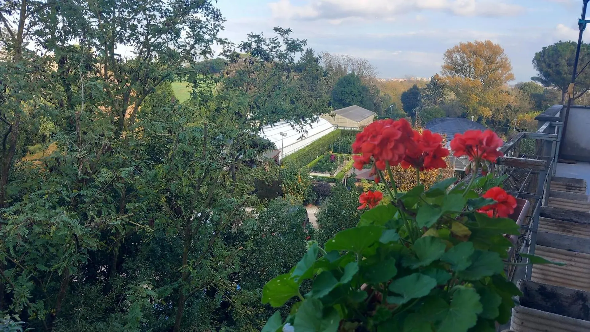 Bed & Breakfast Roma Capitale B&B